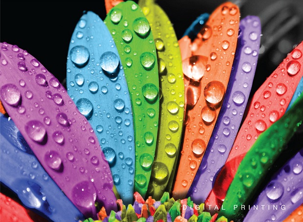 Some Things You Need To Consider If You Need Four Color Printing