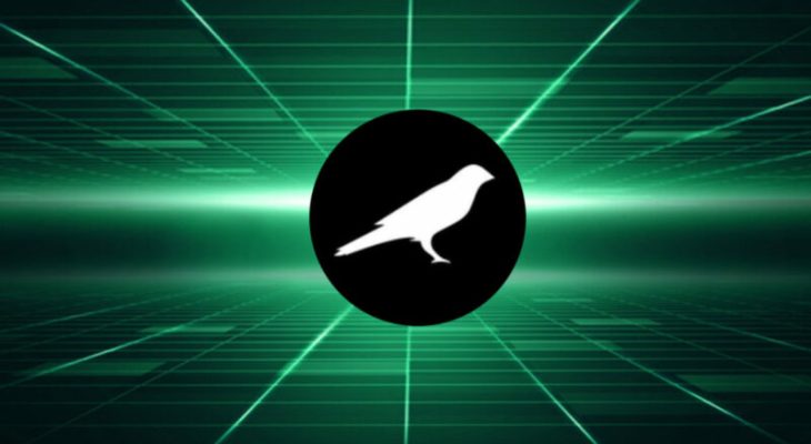 Крипто-дилемма: Стейкинг или торговля? Опыт Kusama и StarkNet